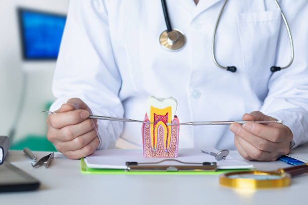 Best Knocked-Out Tooth Emergency  in Goulding, FL